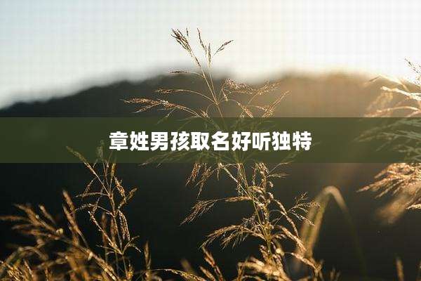章姓男孩取名好听独特