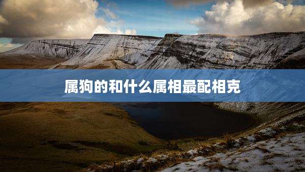 属狗的和什么属相最配相克