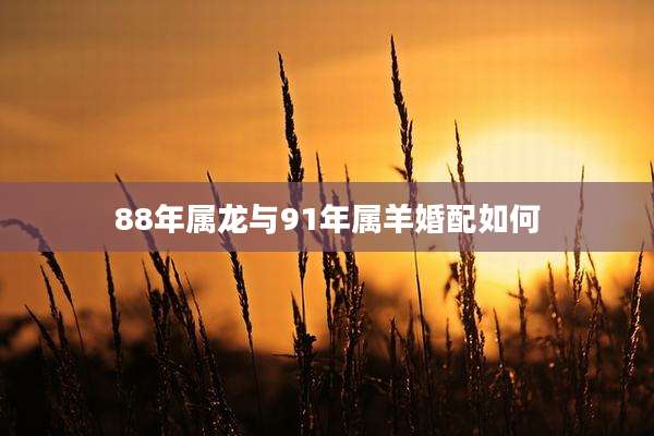 88年属龙与91年属羊婚配如何
