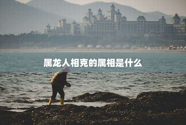 属龙人相克的属相是什么