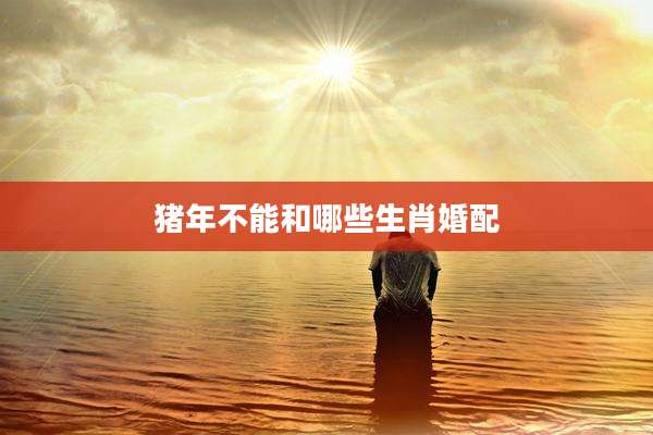 猪年不能和哪些生肖婚配