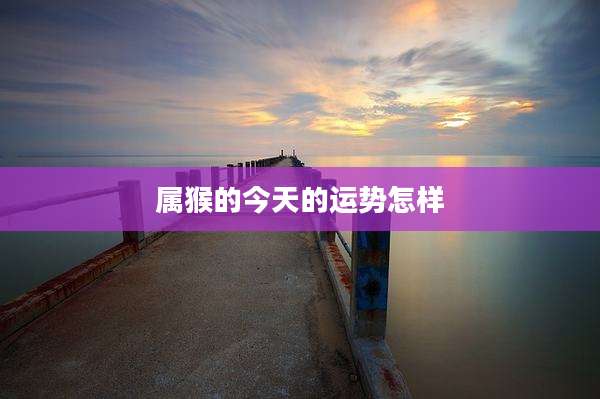 属猴的今天的运势怎样