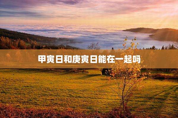 甲寅日和庚寅日能在一起吗