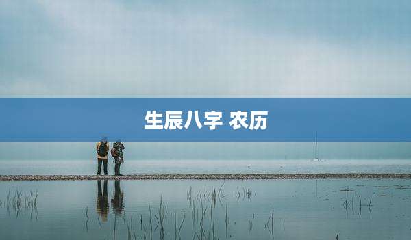 生辰八字 农历