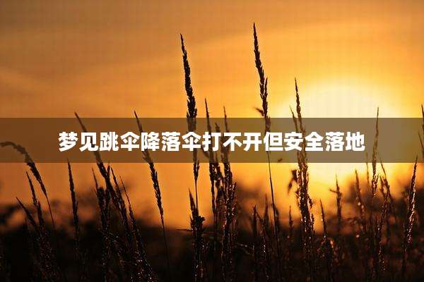 梦见跳伞降落伞打不开但安全落地