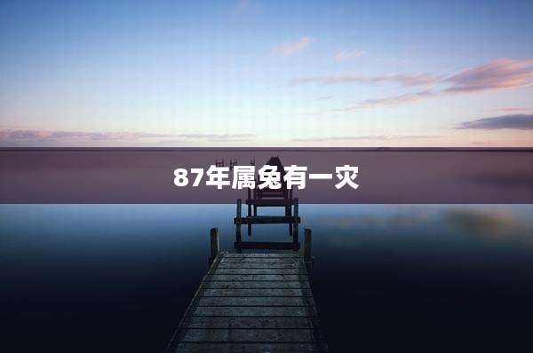 87年属兔有一灾