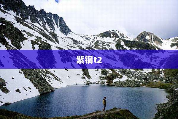 紫铜t2