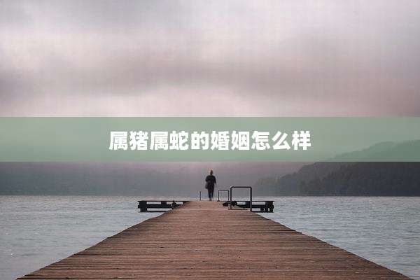 属猪属蛇的婚姻怎么样