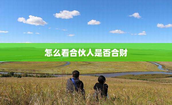 怎么看合伙人是否合财