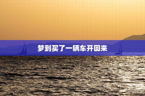 梦到买了一辆车开回来