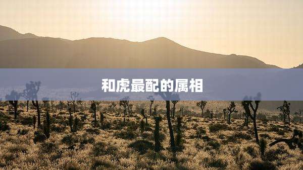 和虎最配的属相
