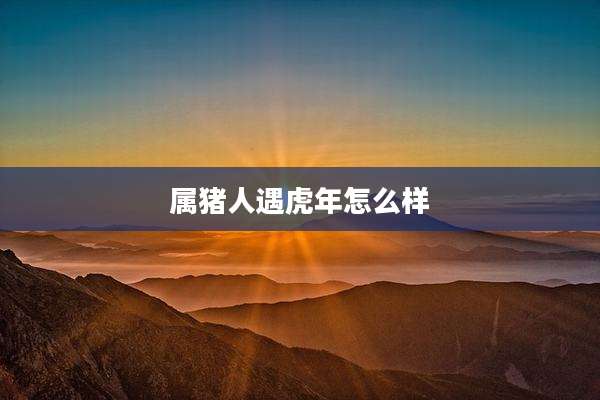 属猪人遇虎年怎么样
