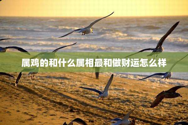 属鸡的和什么属相最和做财运怎么样