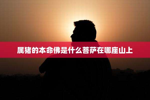 属猪的本命佛是什么菩萨在哪座山上
