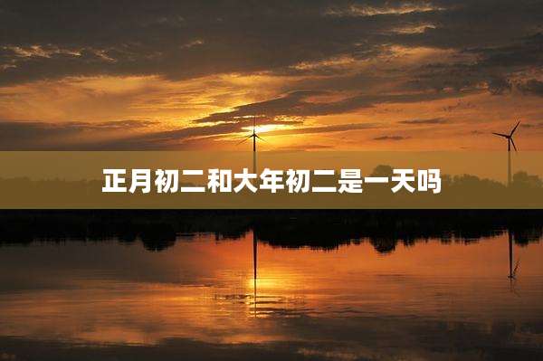 正月初二和大年初二是一天吗