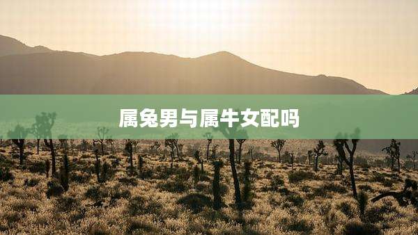 属兔男与属牛女配吗