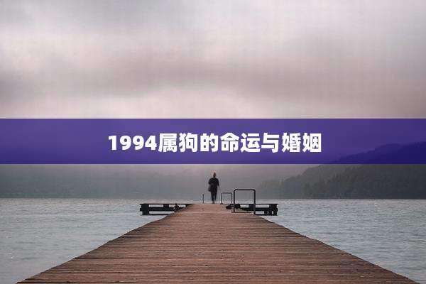 1994属狗的命运与婚姻