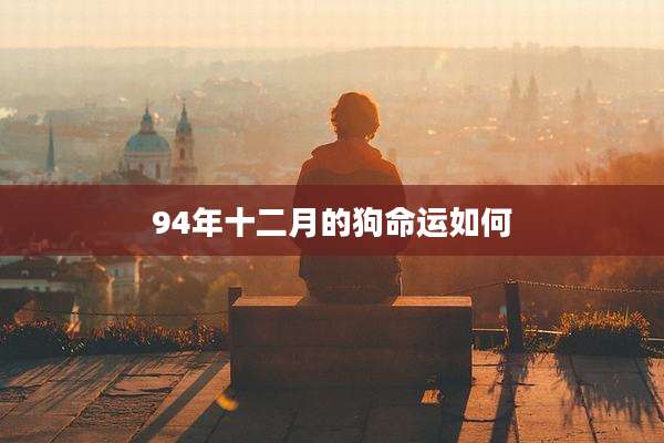94年十二月的狗命运如何