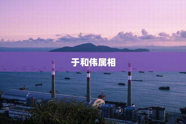 于和伟属相