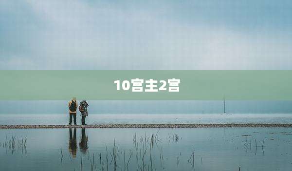 10宫主2宫
