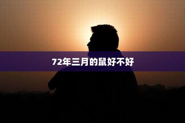 72年三月的鼠好不好