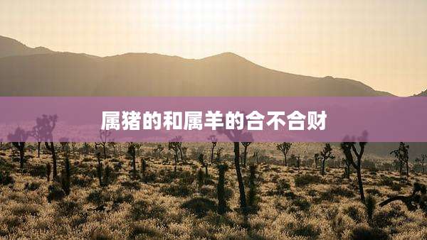 属猪的和属羊的合不合财