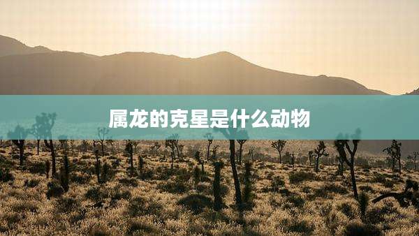 属龙的克星是什么动物