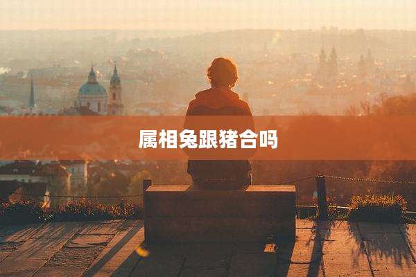 属相兔跟猪合吗