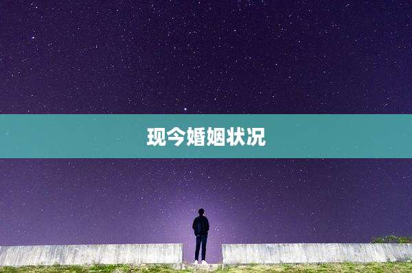现今婚姻状况