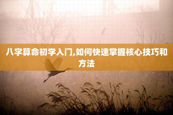 八字算命初学入门,如何快速掌握核心技巧和方法