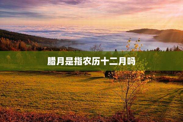 腊月是指农历十二月吗