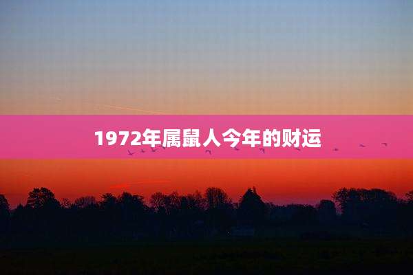 1972年属鼠人今年的财运