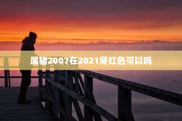 属猪2007在2021穿红色可以吗