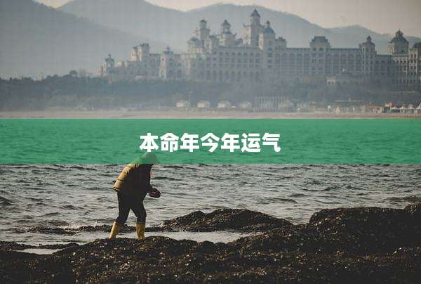 本命年今年运气