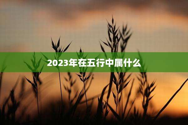 2023年在五行中属什么