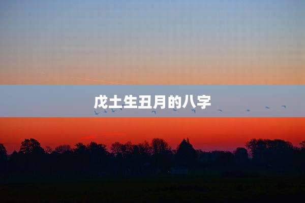 戊土生丑月的八字