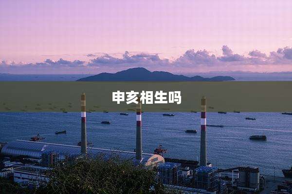 申亥相生吗