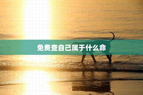 免费查自己属于什么命