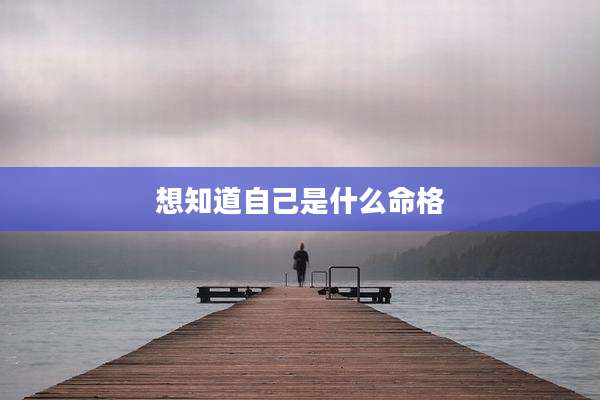 想知道自己是什么命格