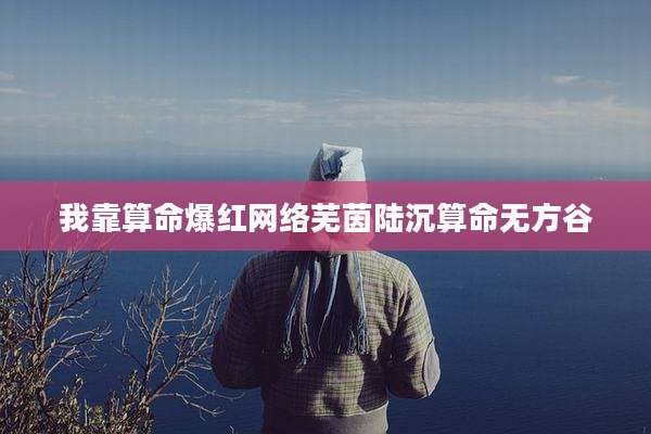 我靠算命爆红网络芜茵陆沉算命无方谷