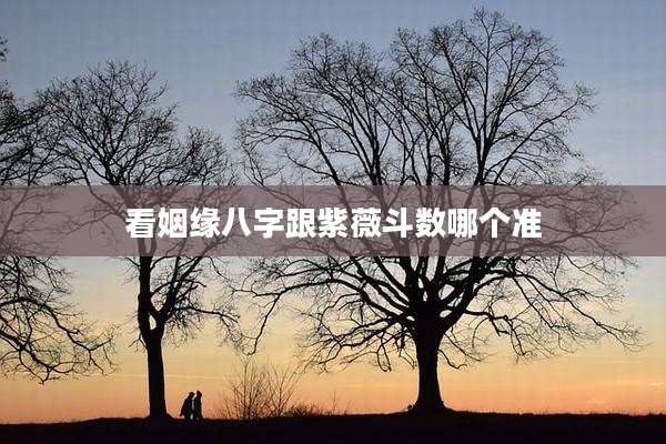 看姻缘八字跟紫薇斗数哪个准