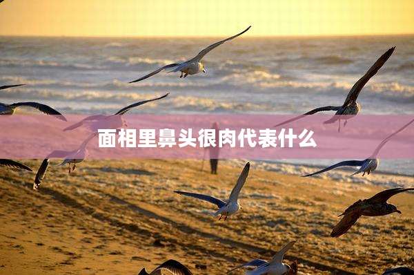 面相里鼻头很肉代表什么