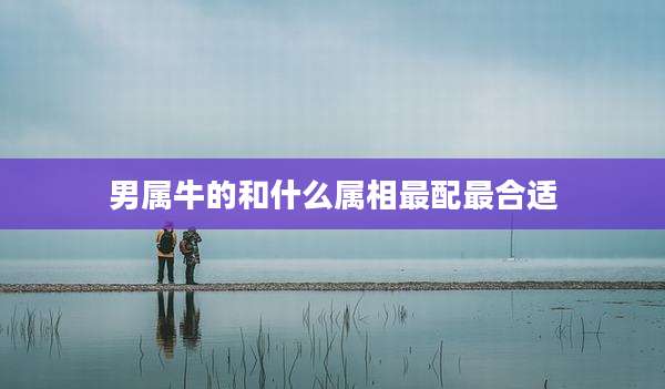 男属牛的和什么属相最配最合适