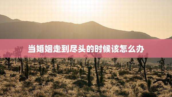 当婚姻走到尽头的时候该怎么办