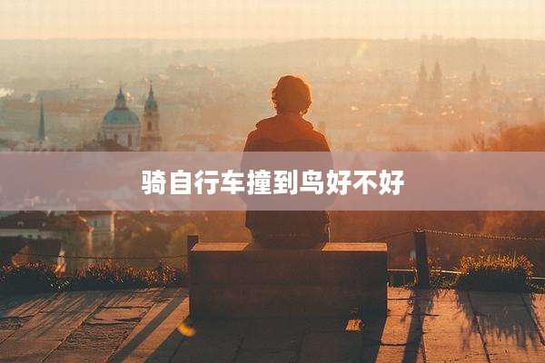 骑自行车撞到鸟好不好