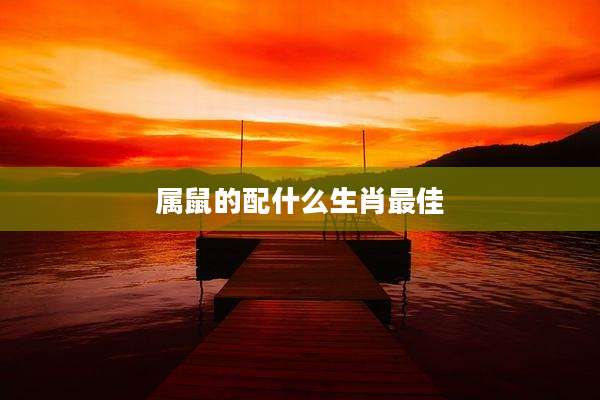 属鼠的配什么生肖最佳