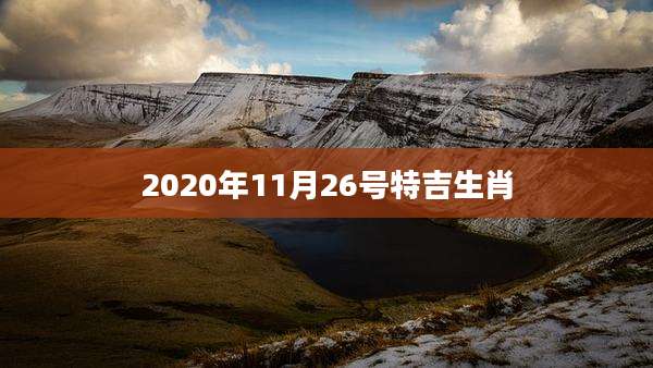 2020年11月26号特吉生肖