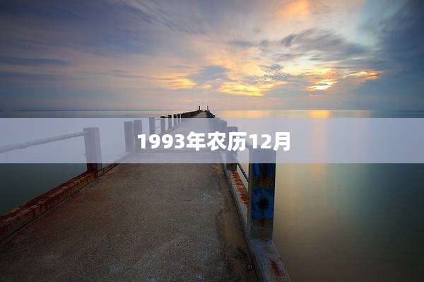1993年农历12月