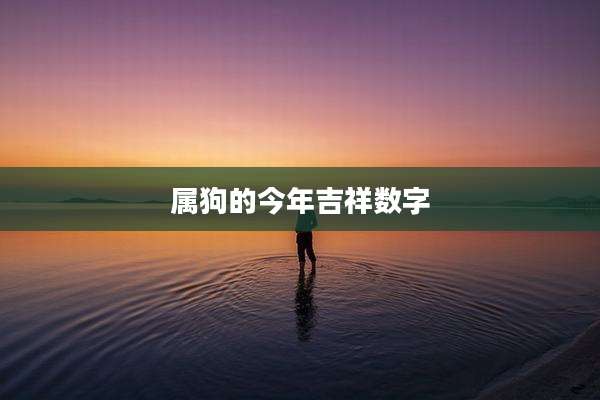 属狗的今年吉祥数字