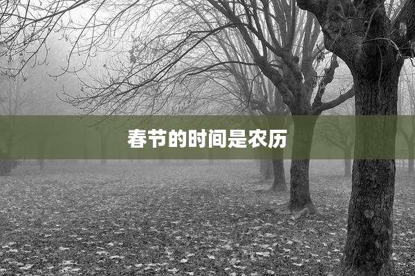 春节的时间是农历